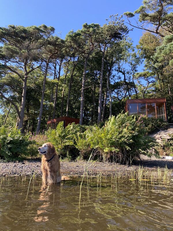 The dog-friendly hotel is even a treat for furry friends.