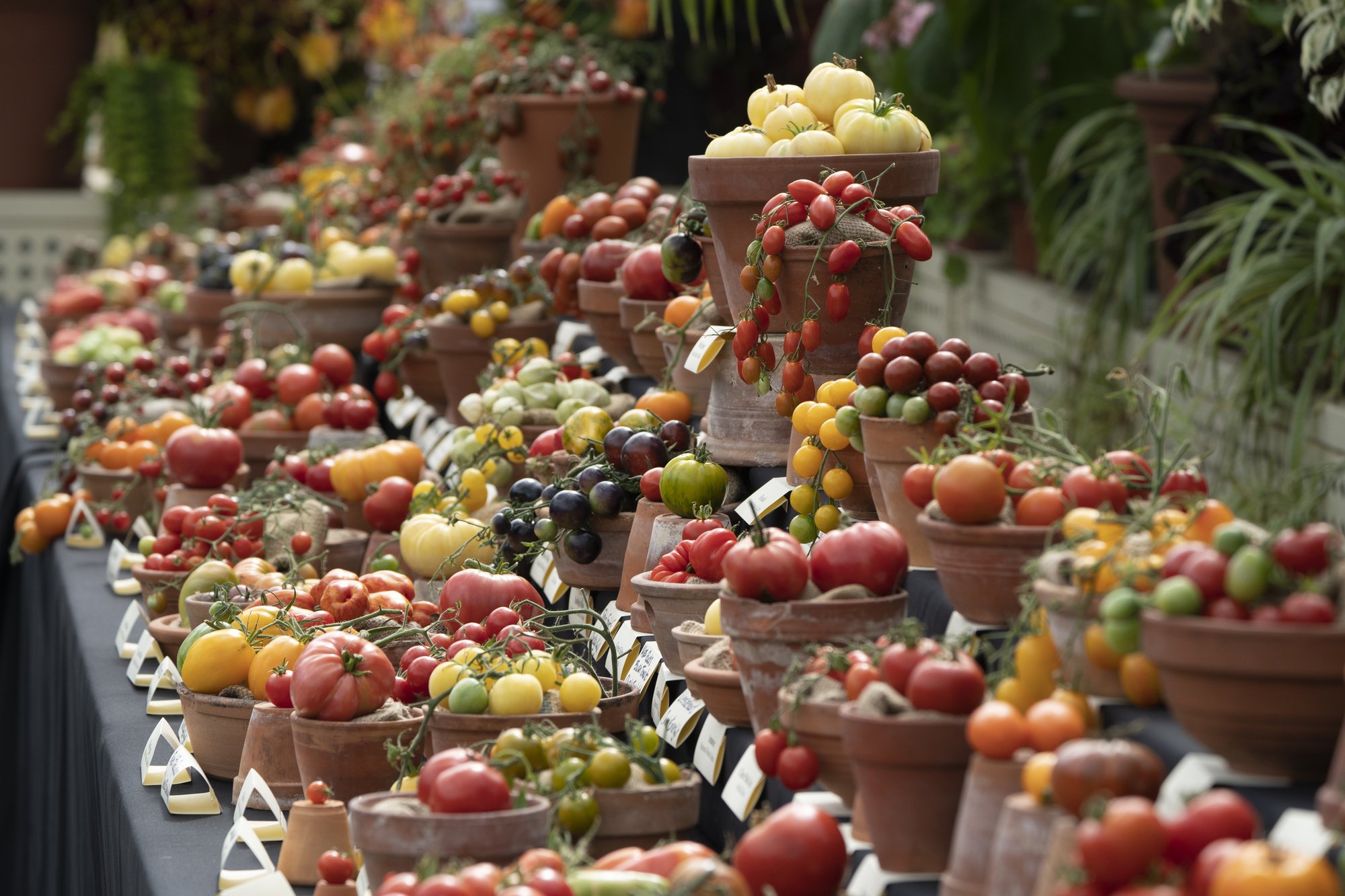 The Menu: Terrific Tomato and the end of an era at Crawford Gallery Café