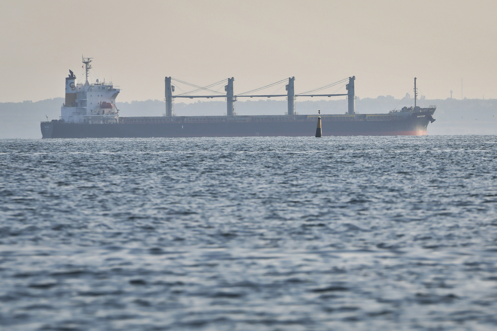 Large shipment of Ukrainian grain to land in Ireland — first since war began
