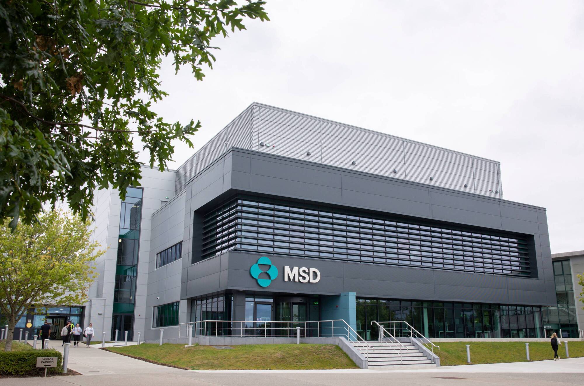 MSD to expand cancer drug manufacturing at Carlow site adding 100 jobs