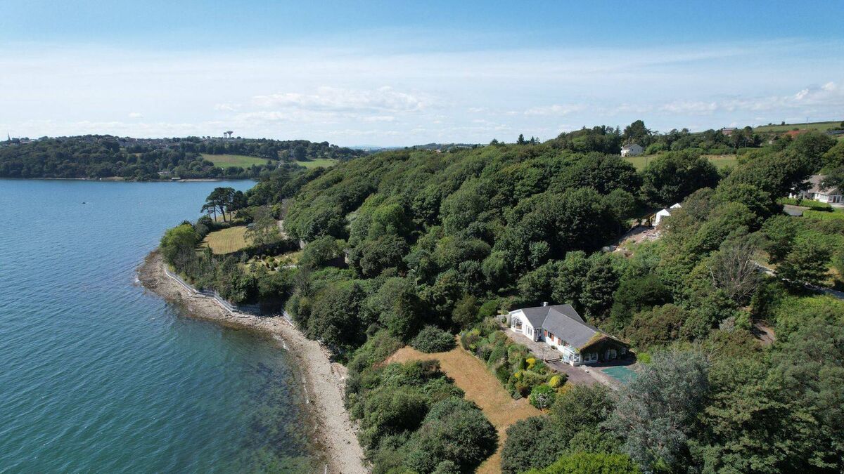 Take your pick for a dip in Cuskinny: outdoor pool or bottom of garden in €675,000 South Bank - Vimarsana News