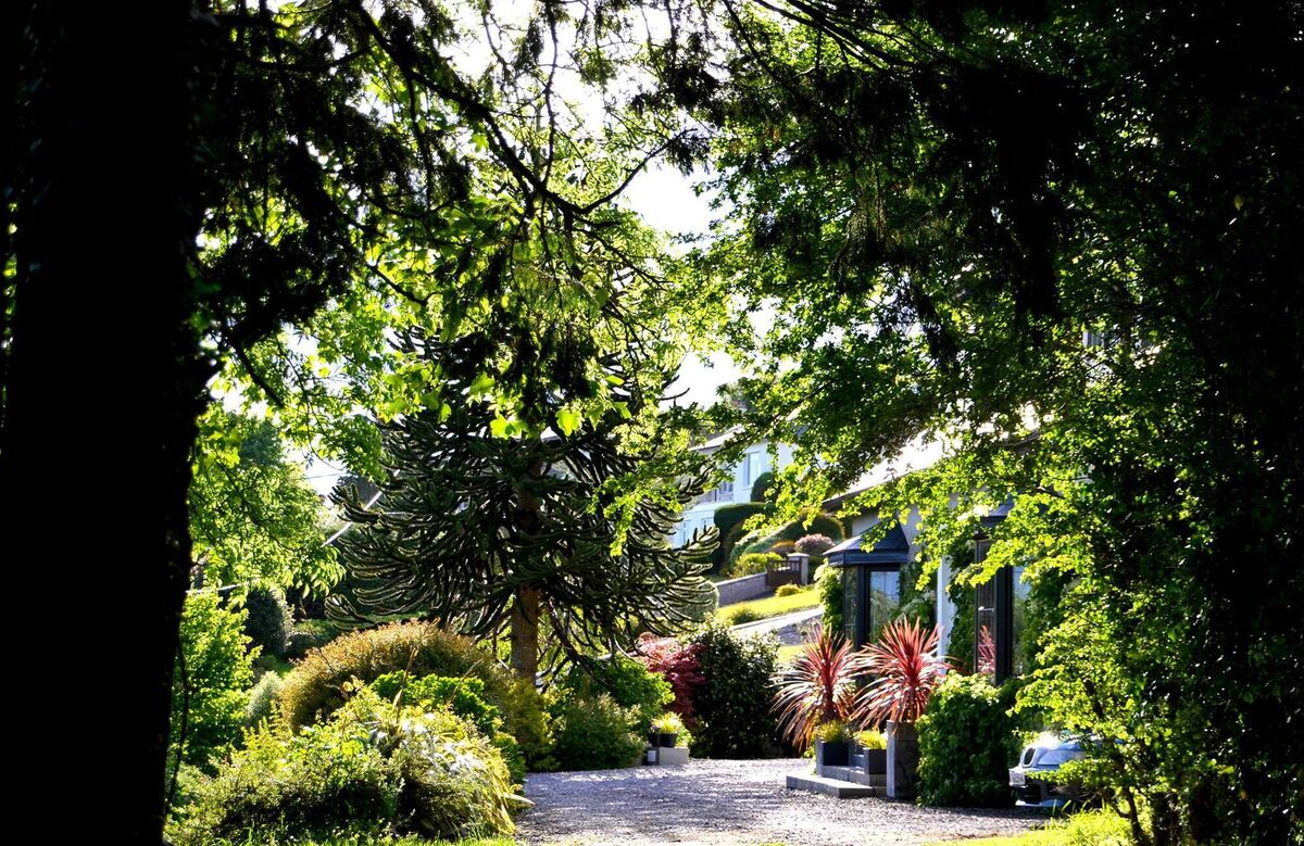 Approach avenue gives a glimpse of the home through leafy framing trees
