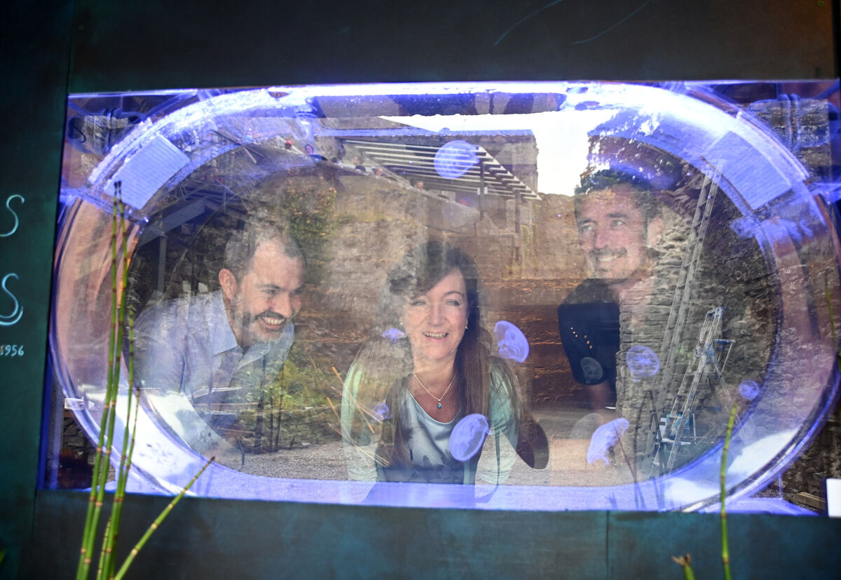  The jellyfish garden can be accessed via the Queen Anne Tower at the foot of Blarney Castle. Picture: Larry Cummins
