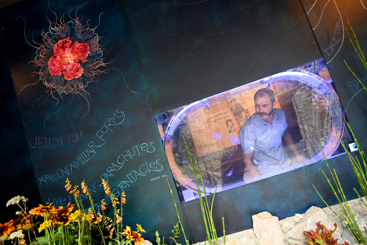 UCC marine biologist Dr Tom Doyle behind the aquarium display. Picture: Larry Cummins