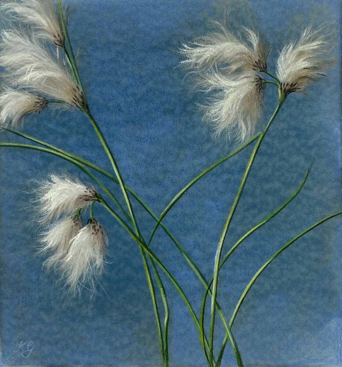 Tarmonbarry Bog Cotton Mixed media (3)by Kathrine Geoghegan