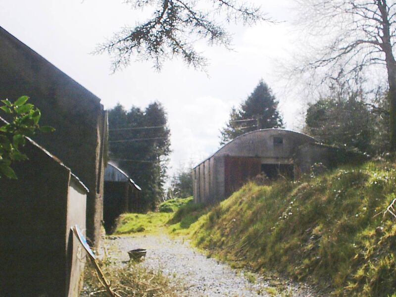 Before: A photo taken during the renovation of Maggie's backyard.