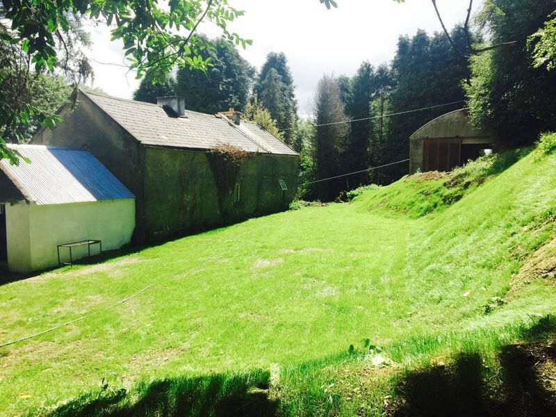 After: 'We had very little garden space behind our house originally since our property is built into a hill so we hired a digger and dug out the ground to give ourselves some more space.' 