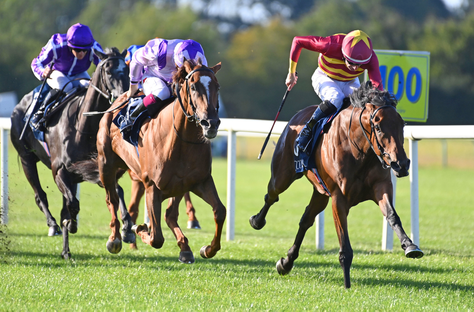 Irish round-up: Agartha gets back to winning ways in Tipperary