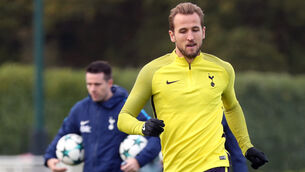 Tottenham Hotspur Training Session - Enfield Training Centre