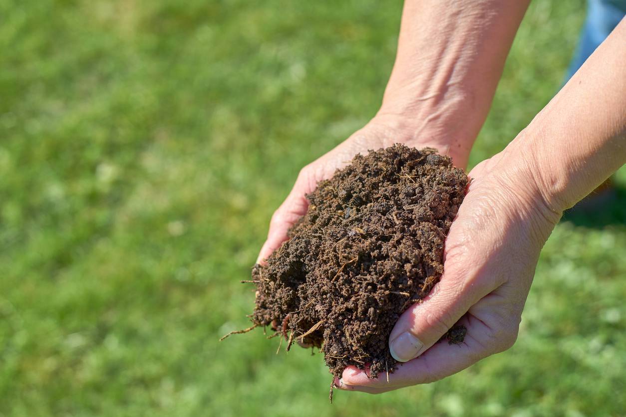 Soil test results indicate early signs of soil fertility decline