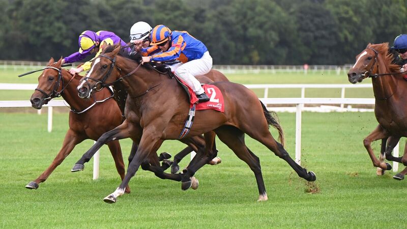 Cork report: Testing conditions no problem for well-bred Be Happy
