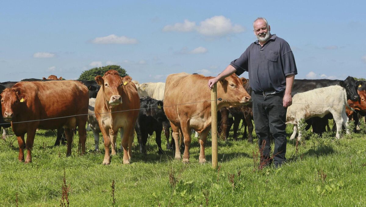  “Farmers are in the heart of the community, and a loan like this supports them hugely,” says Peter Keaveney.