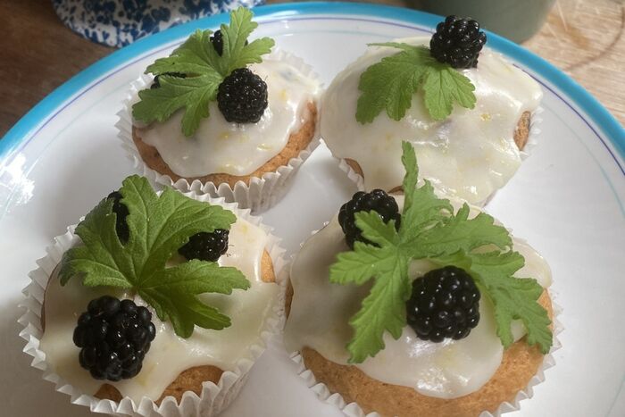 Wee Blackberry Buns