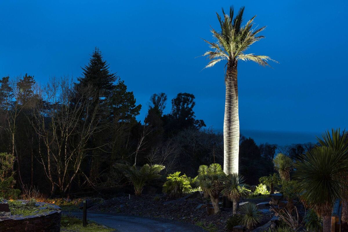 Kells Bay Gardens in Co Kerry which will host the seventh Southern Symposium at the end of September. Kells Bay Gardens in Co Kerry which will host the seventh Southern Symposium at the end of September.