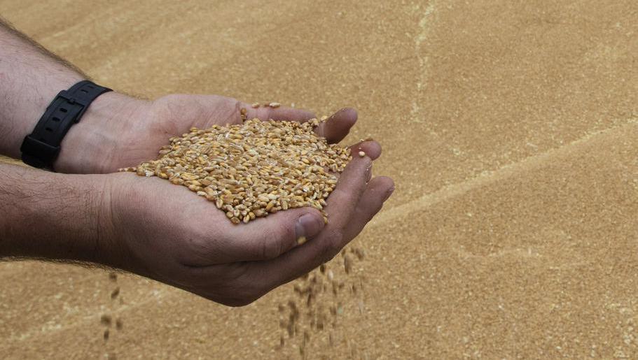 Ukraine farmers may cut winter grain sowing by at least 30%
