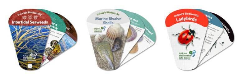 Some identification swatches from the National Biodiversity Data Centre. Some identification swatches from the National Biodiversity Data Centre.