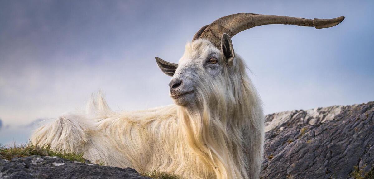 Allihies, West Cork.