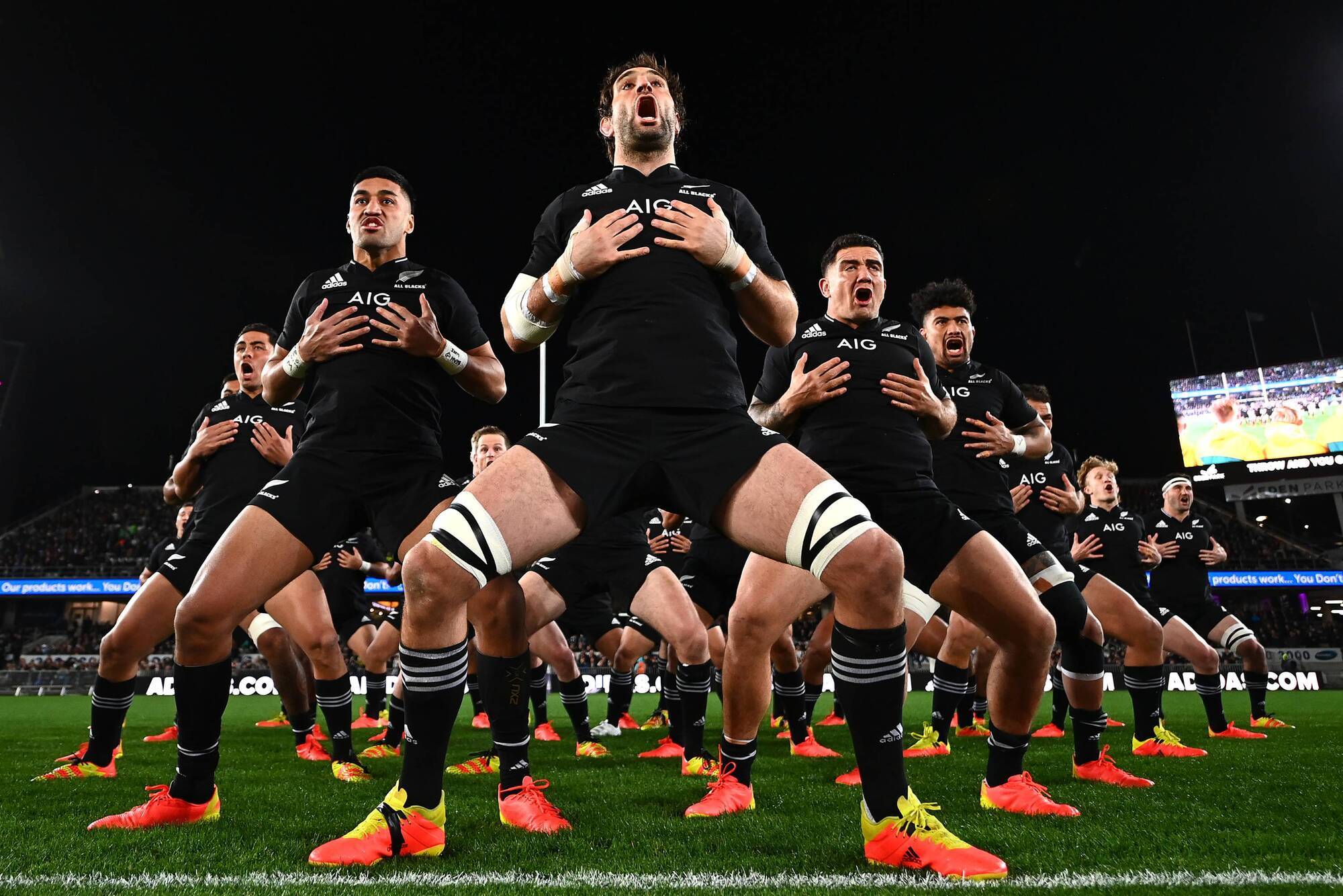 All Blacks aiming for 20th straight Bledisloe Cup series win