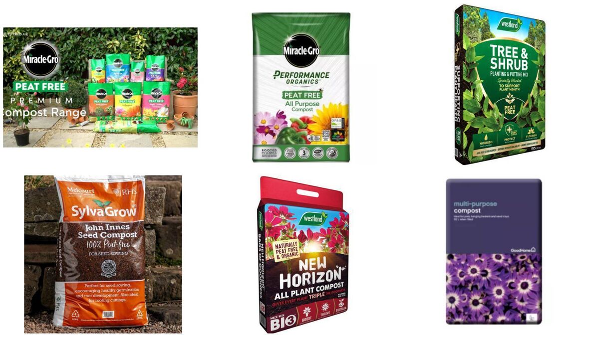 A selection of some of the peat-free or peat-reduced composts for sale here. A selection of some of the peat-free or peat-reduced composts for sale here.