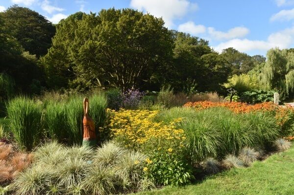 Picture: Dan Linehan