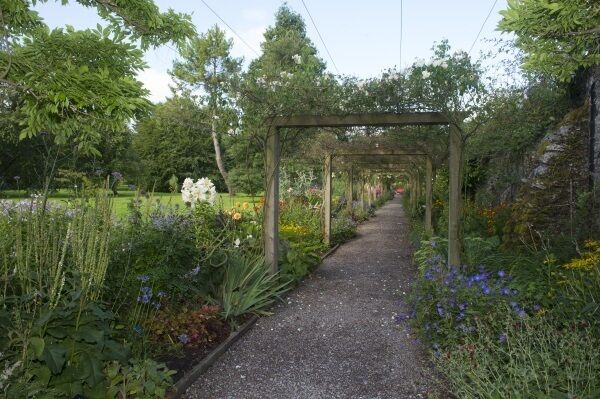 Picture: Dan Linehan