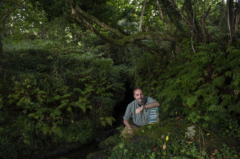 'I had never before laid eyes on anything remotely like this wild, verdant and primeval landscape.' Picture: Don MacMonagle 'I had never before laid eyes on anything remotely like this wild, verdant and primeval landscape.' Picture: Don MacMonagle