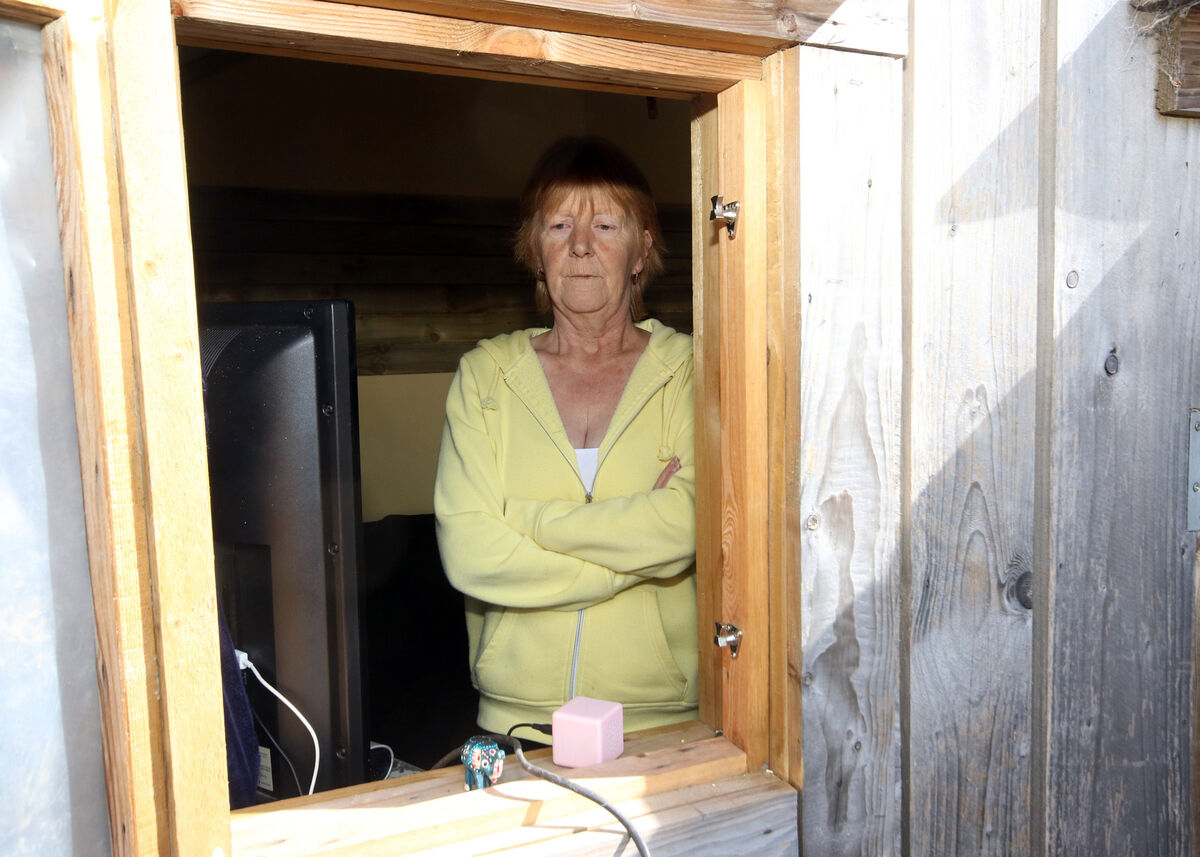Bernadette Webster in Mullinahoe, Co Tipperary. Picture: Brendan Gleeson