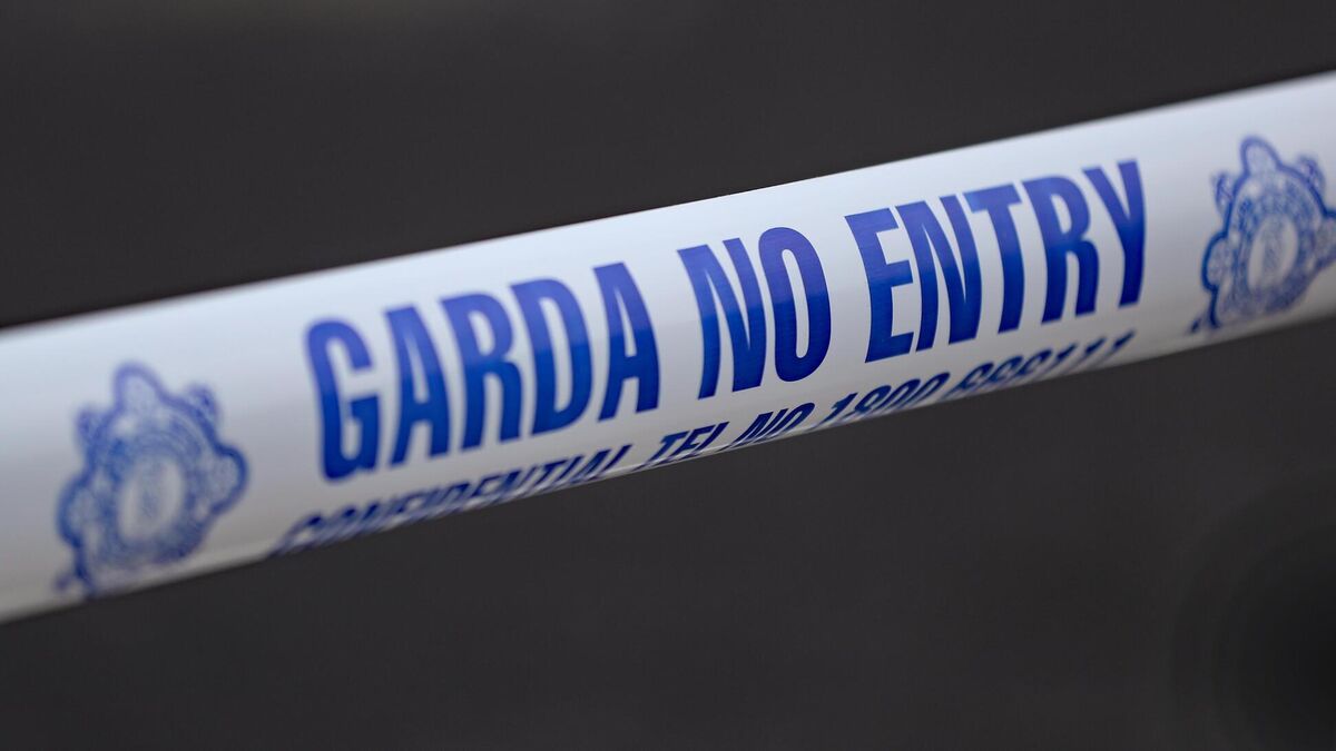 Garda members praised for rescuing woman from burning house - Vimarsana News