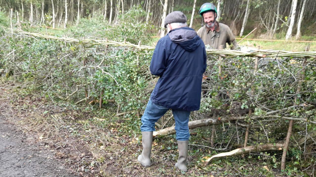 Anja Murray: Discover traditional craft of hedge-laying and give hedges the respect they deserve