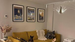 <p>Peacock lights - design pieces in their own right and provide lighting.</p>