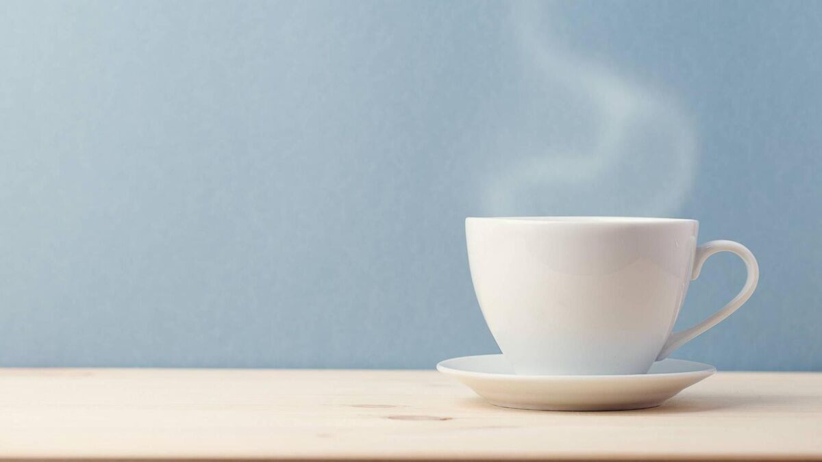 Top 8: Time for a cuppa with eco-kind teabags - Vimarsana News