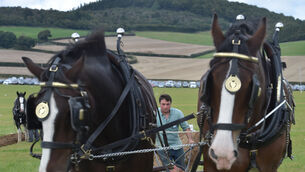 <p> Dean Hall, Sligo ploughing with horses Ned and Ted in the under 40 horse plough class at the National Ploughing Championships, Ratheniska, Co Laois. Picture Dan Linehan</p>