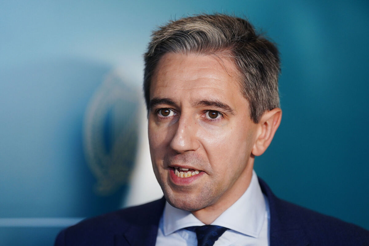 Simon Harris said it is not unexpected that people would try to parse what the results would mean. Picture: PA