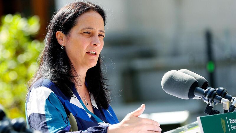 Irish Examiner view: Public input too much for new body