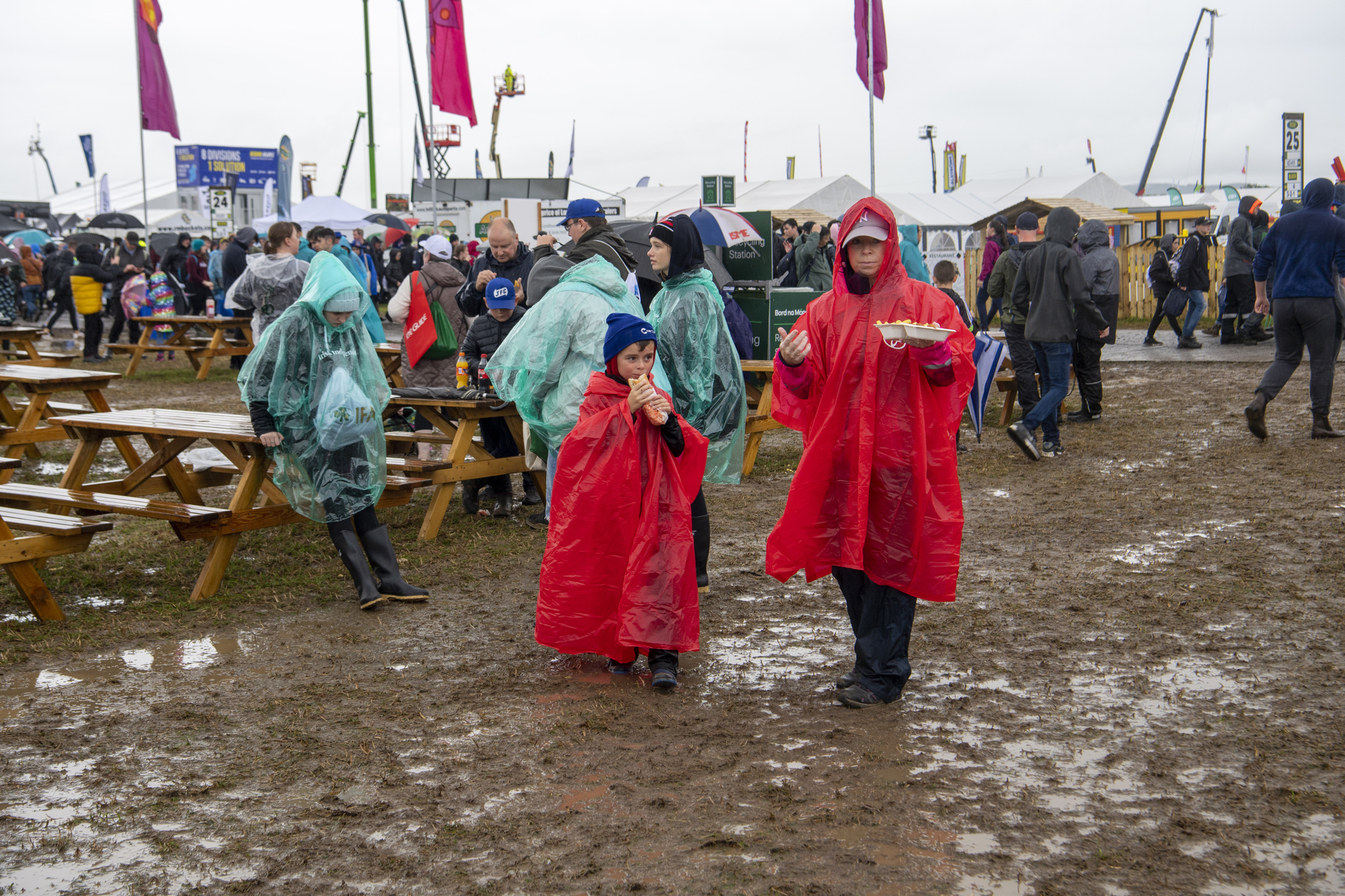 Denis Lehane: Eight reasons why we love the Ploughing Championships