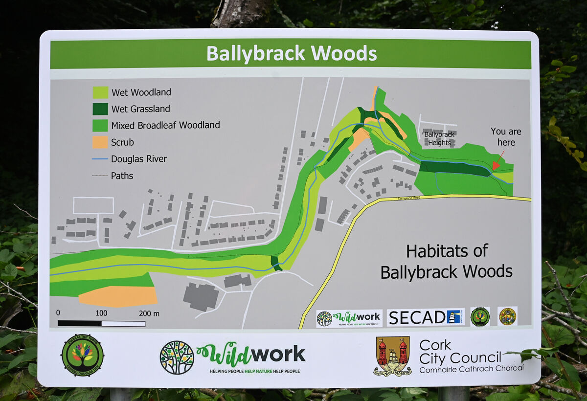 Changes in store for the  Ballybrack Woods at Mangala Valley, Douglas, Co Cork. A bridge over the riverside walkway and woods, linking the Grange Road with the Carrigaline Road is proposed. Pic: Larry Cummins