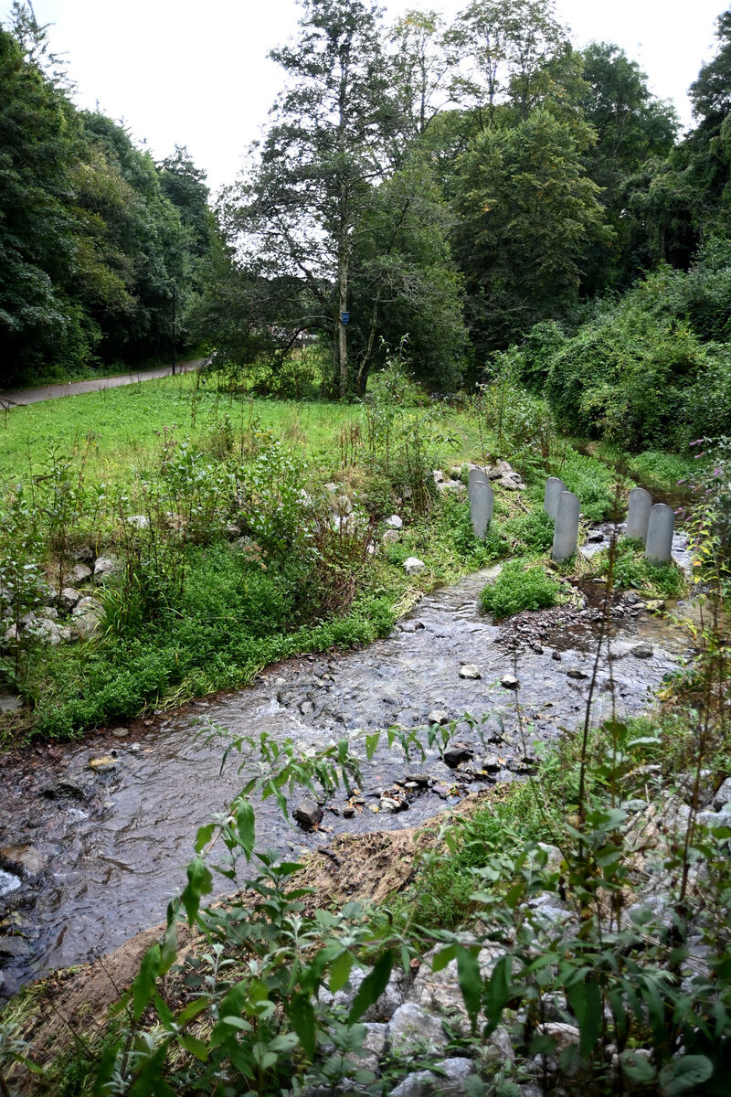 Mangala Pic: Larry Cummins 