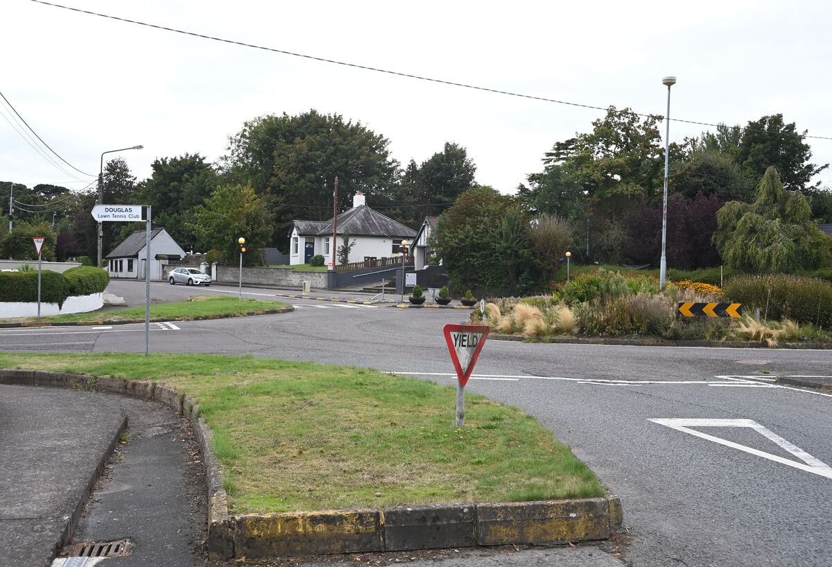 Swings, and roundabouts in store? Pic: Larry Cummins