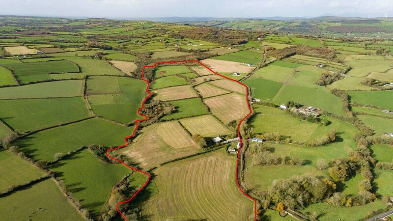 67-acre farm in East Cork fetches €1,025,000 at auction