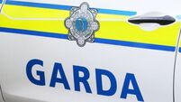 Driver (21) accused of damaging cars and injuring pedestrians in Fermoy