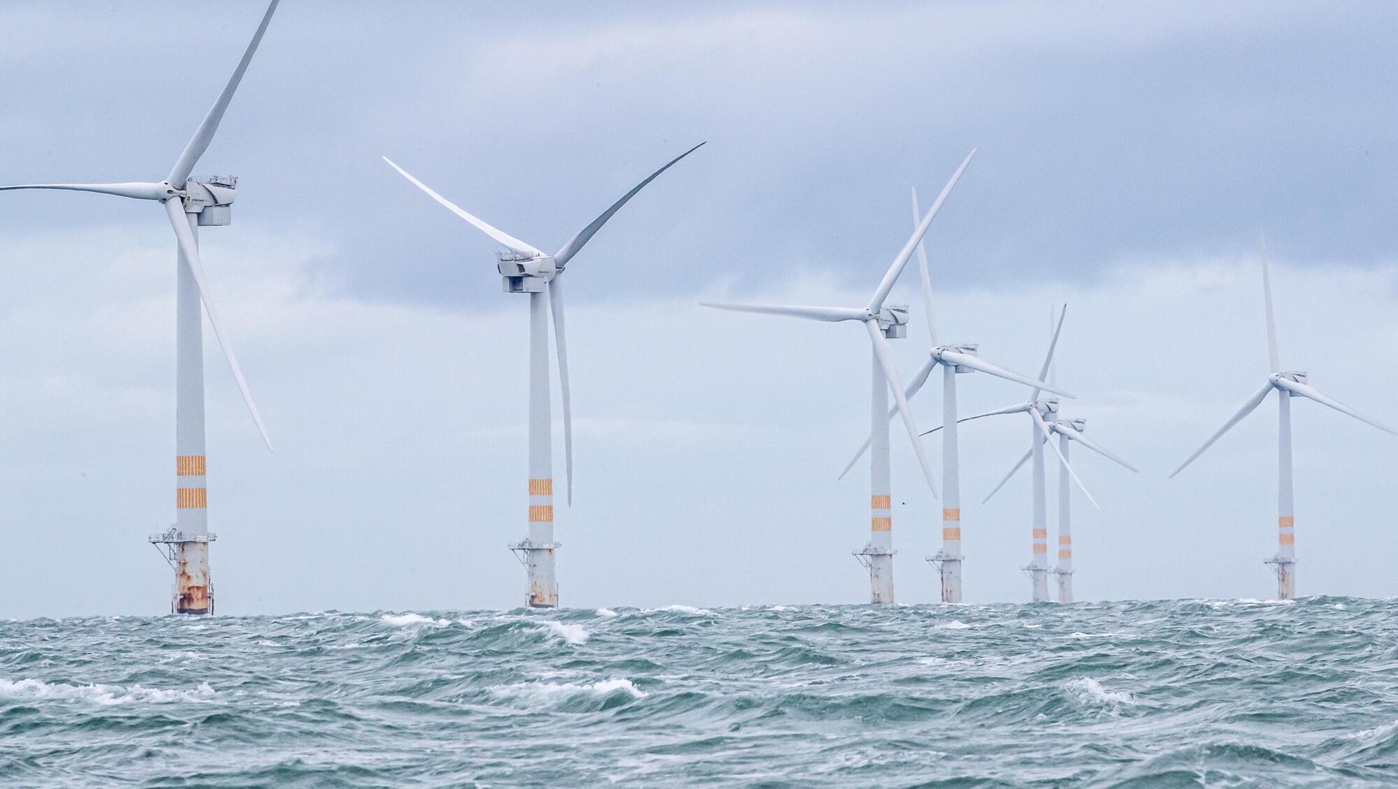 Wind sector urgently needs clarity, Cork company says