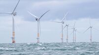 Wind sector urgently needs clarity, Cork company says