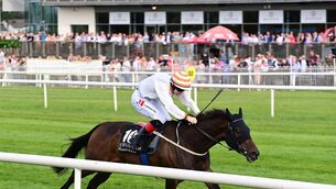 <p>Having not run since winning at Down Royal in July, Hazy Mehmory could be vulnerable to Magellan Strait at Bellewstown on Thursday.  	Picture: Healy Racing</p>