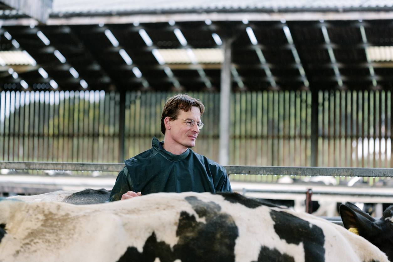 Herd Management: The golden rules of housing cattle this autumn