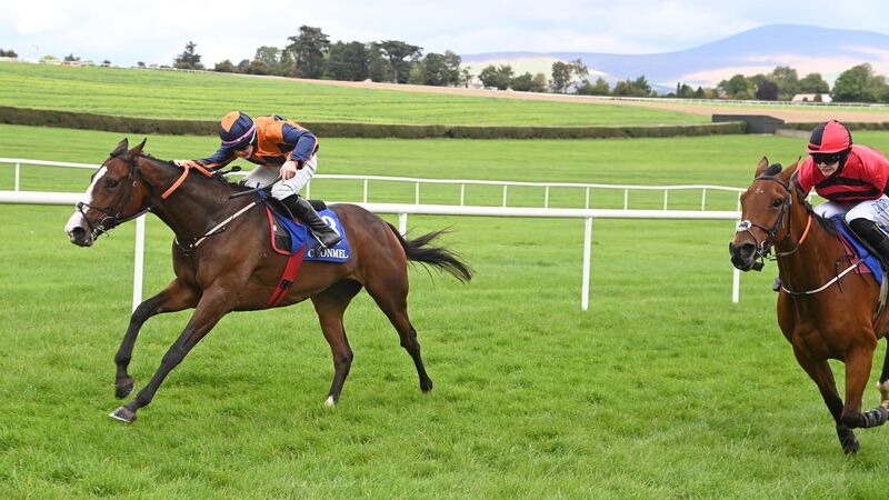 Sam Ewing shines on The Moon Sea’s Me at Clonmel