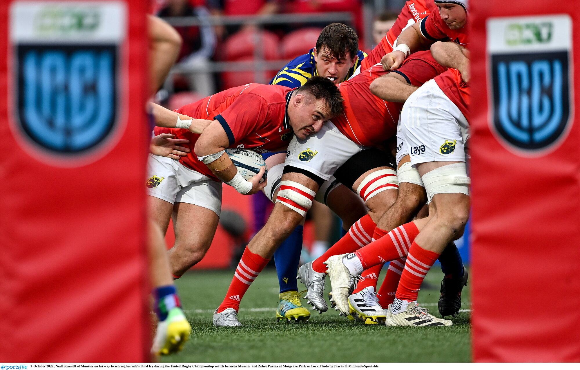 Rowntree's delight tempered by Munster's failure to reach bonus territory