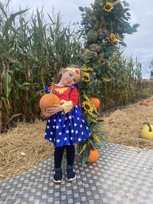 Pumpkin picking at Joe's Farm Crisps