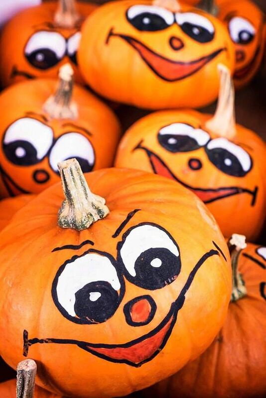 Pumpkin Patch at The Farm Grenagh