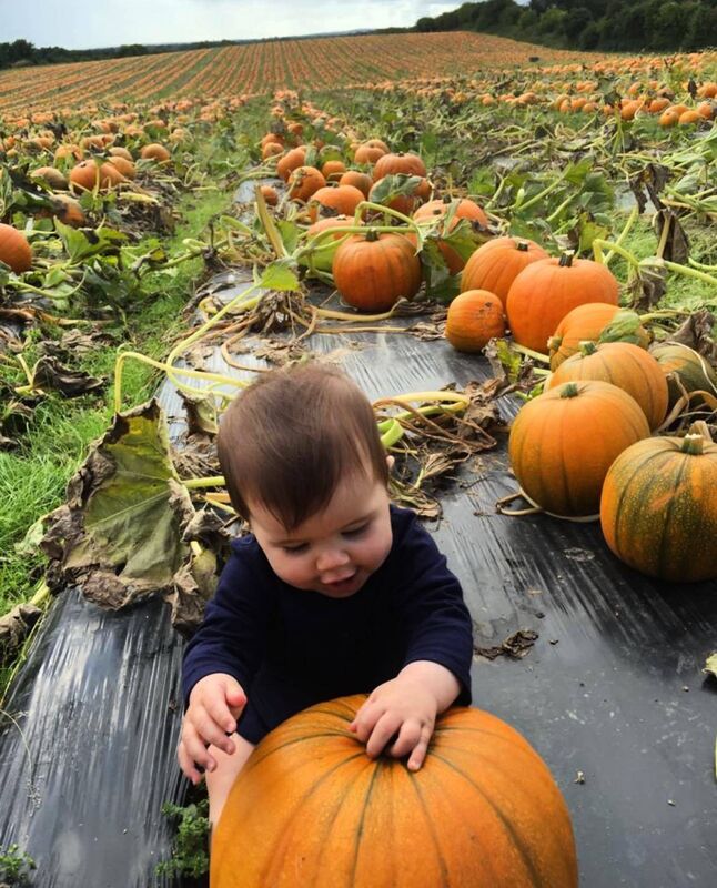 Kilkenny Pumpkin Picking: quality assurance team member, Robyn, was busy out on the pumpkin patch ahead of their October 14 opening