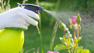 Here's how to give your garden a homegrown organic treatment